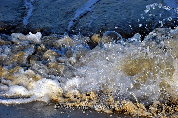 11.5.2011 Saline di Priolo con Antonella (419).jpg